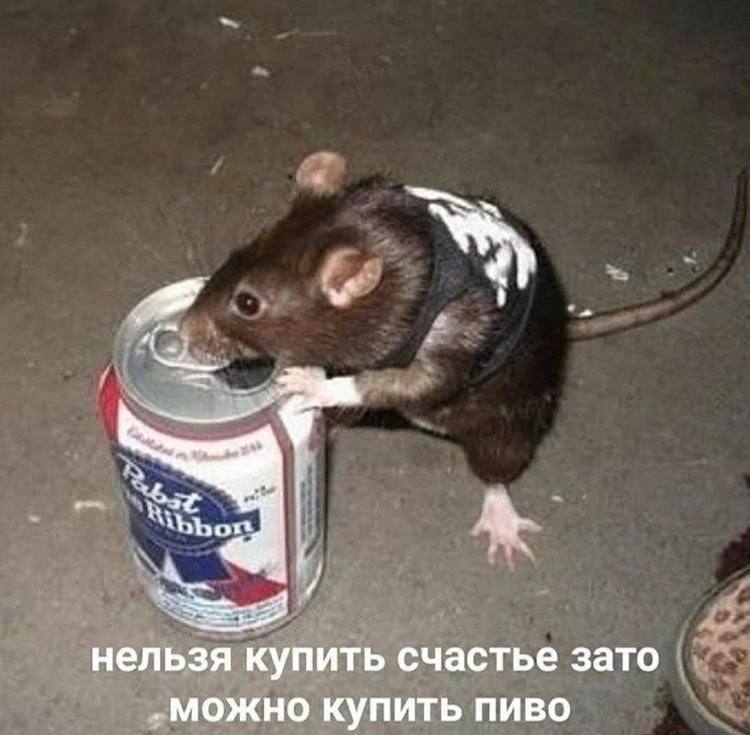 нельзя купить счастье зато „можно купить пиво