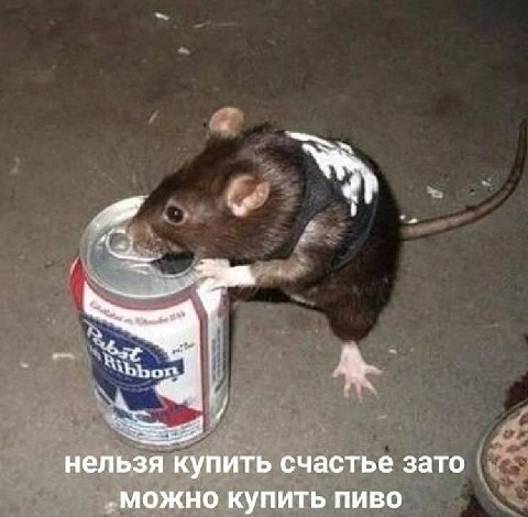 нельзя купить счастье зато „можно купить пиво