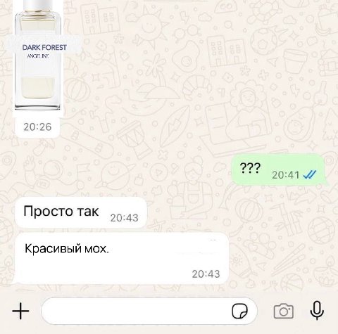DARK FOREST ANGELINE 20:26 20:41 Просто так 20:43 Красивый мох. 20:43 о