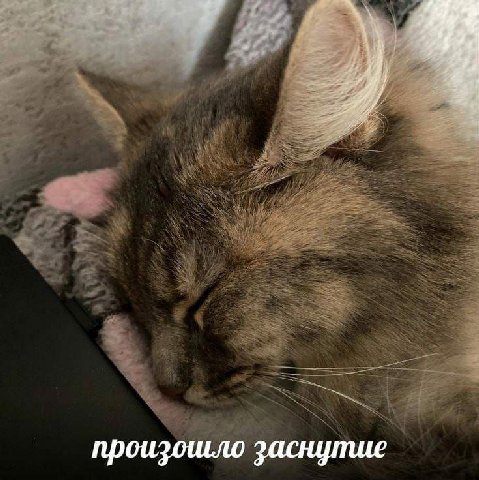 произошло заснутие