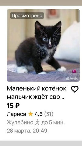 Просмотрено Маленький котёнок мальчик ждет CBO... 15 Лариса 4,6 (51) Жулебино до 5 мин. 28 марта, 20:49