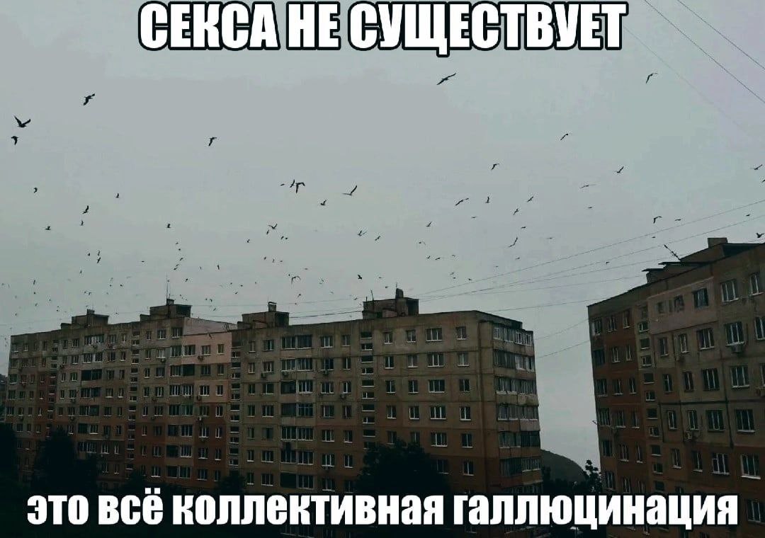 СЕКСА НЕ СУЩЕСТВУЕТ это всё коллективная галлюцинация