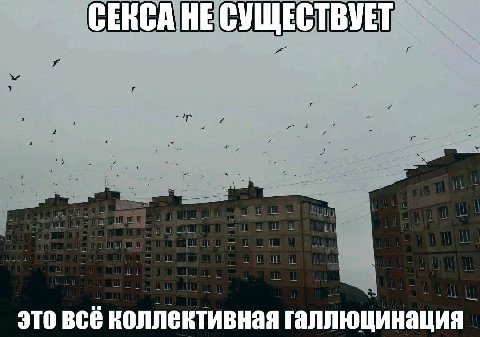 СЕКСА НЕ СУЩЕСТВУЕТ это всё коллективная галлюцинация