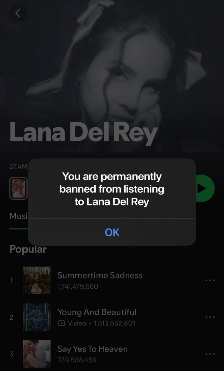 You are permanently banned from listening to Lana Del Rey