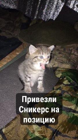 Привезли Сникерс на ПОЗИЦИЮ