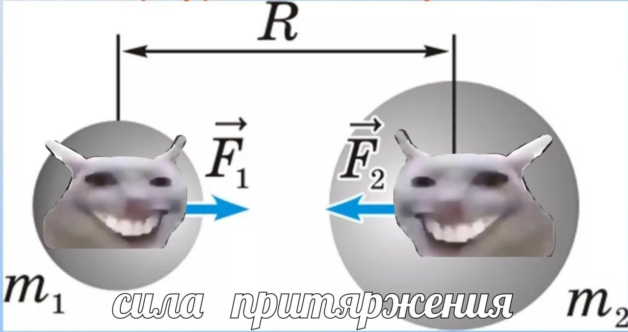 кения