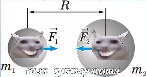 кения