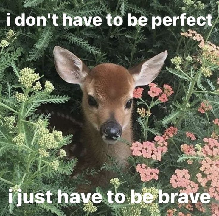 4 have to be perfect. just have