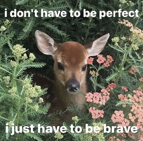 4 have to be perfect. just have