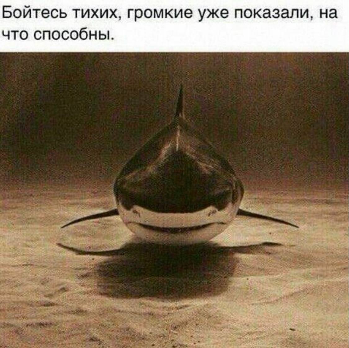 Бойтесь тихих, громкие уже показали, на что способны.