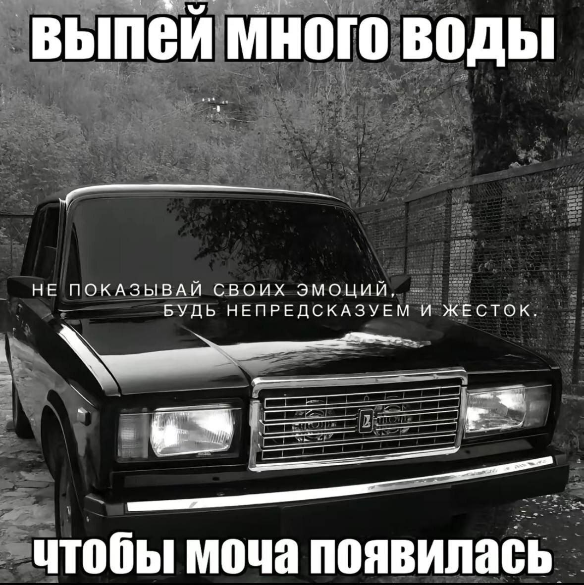 выпей много воды ВАЙ СВОИХ ЭМОЦИЙ, НЕ ПОКАЗЫ БУДЬ НЕПРЕДСКАЗУЕМ И ЖЕСТОК. uTO бы моча появилась