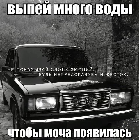 выпей много воды ВАЙ СВОИХ ЭМОЦИЙ, НЕ ПОКАЗЫ БУДЬ НЕПРЕДСКАЗУЕМ И ЖЕСТОК. uTO бы моча появилась