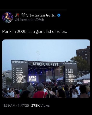 Libertartan Goth... Punk in 2025 is: a giant list of rules. FROPUNK FEST AEROPUNIC NO о ABLE! AGEISM AGEISM НОМОРНОВ: 1 ГАТРНОВА AFRO PUNK.