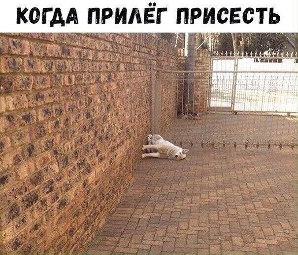 КОГДА ПРИЛЕГ ПРИСЕСТЬ