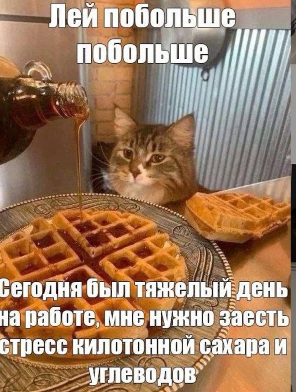 Лейпобольше побольше сегодня был тяжелый день на работе, мне нужно заесть стресс килотонной сахара И углеводов”