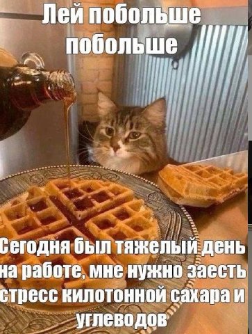 Лейпобольше побольше сегодня был тяжелый день на работе, мне нужно заесть стресс килотонной сахара И углеводов”