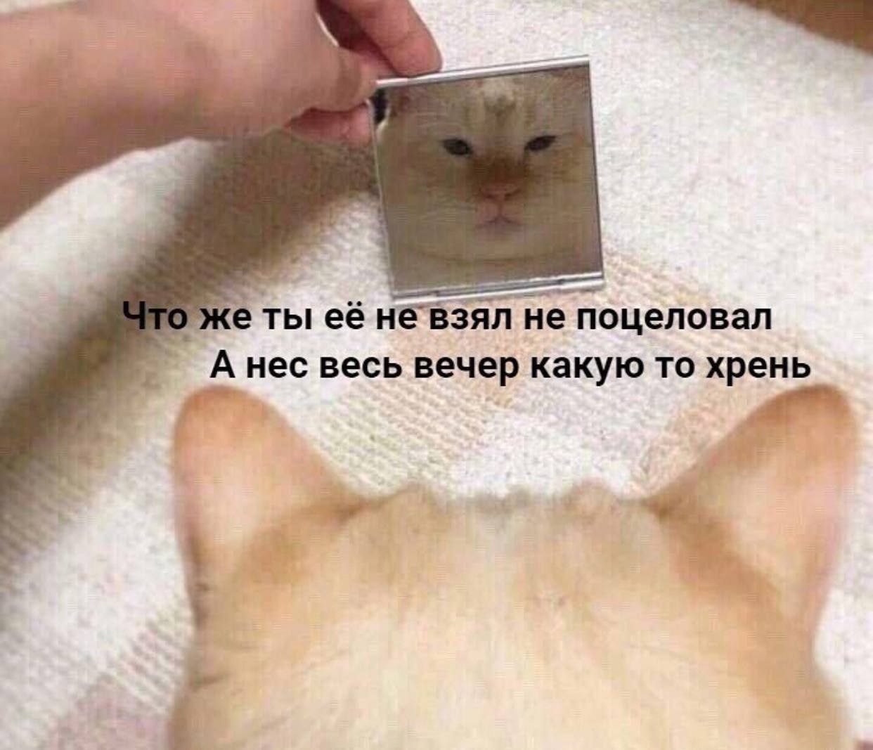 еён A не поцеловал А нес весь вечер какую то хрень