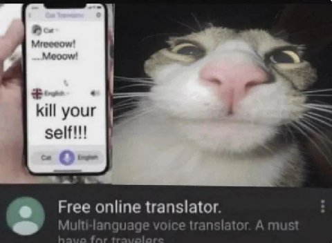 я Meo A kill your self!!! Free online translator. Multi-ianquage voice transiator. A must