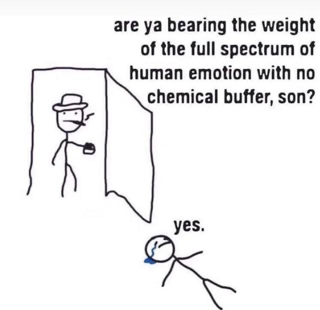are bearing the weight of the full spectrum of human emotion with no chemical buffer, son? yes.