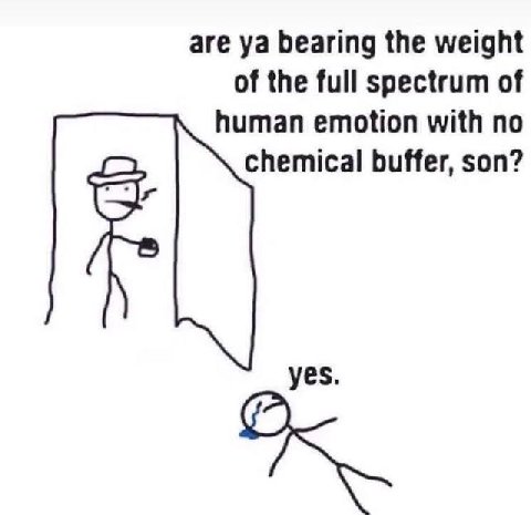 are bearing the weight of the full spectrum of human emotion with no chemical buffer, son? yes.