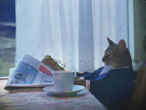 надо придумать план как не свихнуться до лета
