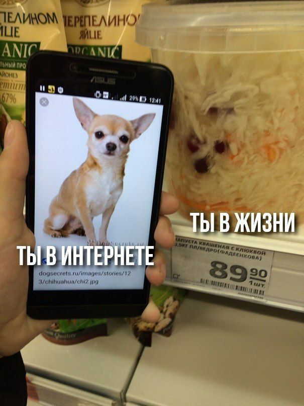 ЕЛИНО’ LIE CAN ANIC ЪНЫЙ ПРО) 1241 ВИНТЕРНЕ 30 jpg 4