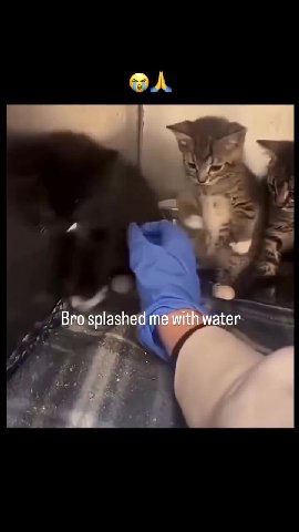 _ Bro splashed 1 water _