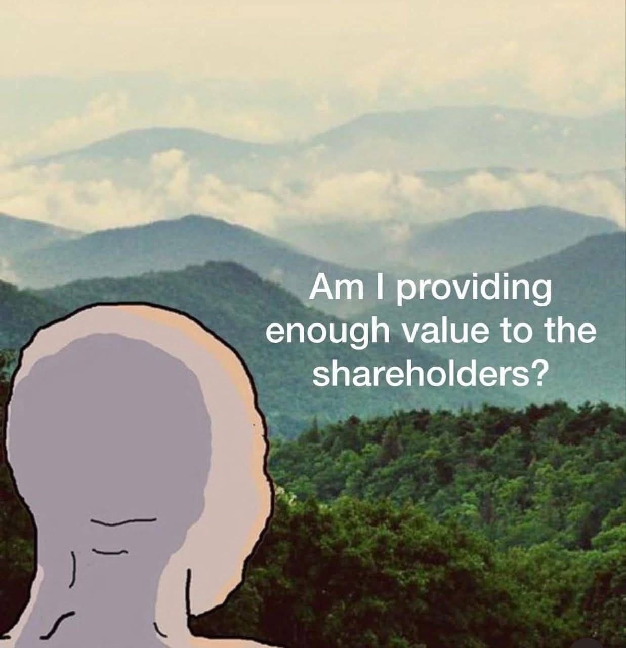 providing value to the shareholders?