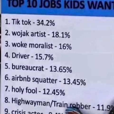 1. tok 34.2% 2. wojak artist 18.1% 3. woke moralist 16% 4. Driver 15.7% 5. bureaucrat 13.65% 6. airbnb squatter 13.45% 7. holy fool 12.45% 8. Highwayman/T rai