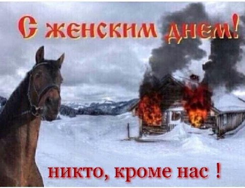 женским никто, кроме нас