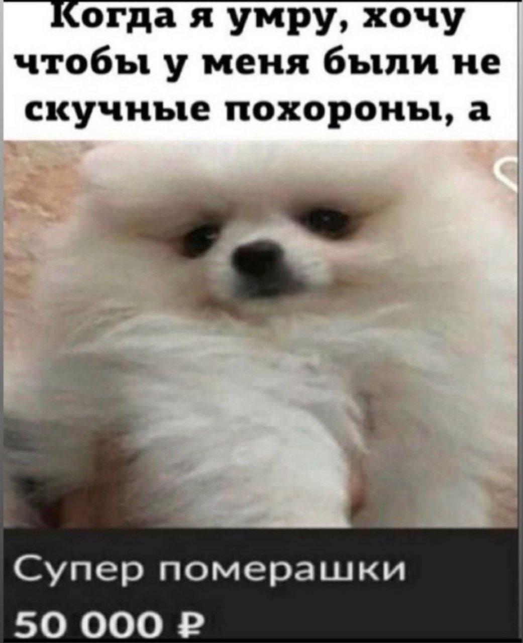 Когда я умру, хочу чтобы у меня были не скучные похороны, а Супер померашки 50 000