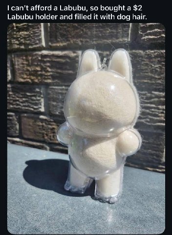 can't afford а Labubu, so bought a $2 Labubu holder and filled it with dog