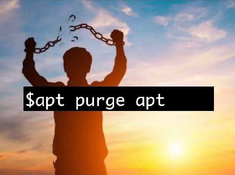 $apt purge apt