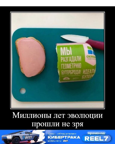 Миллионы лет эволюции прошли не зря Стань обладателем промокод КИБЕРТРАКА REEL7 вместе с