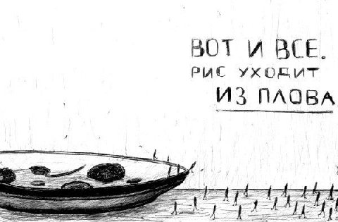 ВОТ BCE. РИС ИЗ ПЛОВА