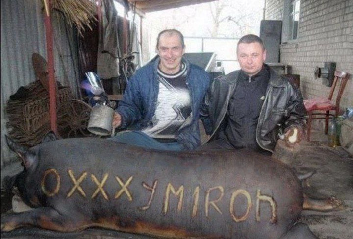4 i i ail ‚4 7 у ЛИ 4