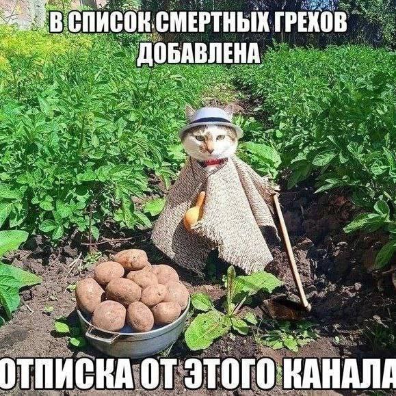 2“. СМЕРТНЫХ ДОБАВЛЕНА Я ОТПИСКА ЭТО КАНАЛЕ