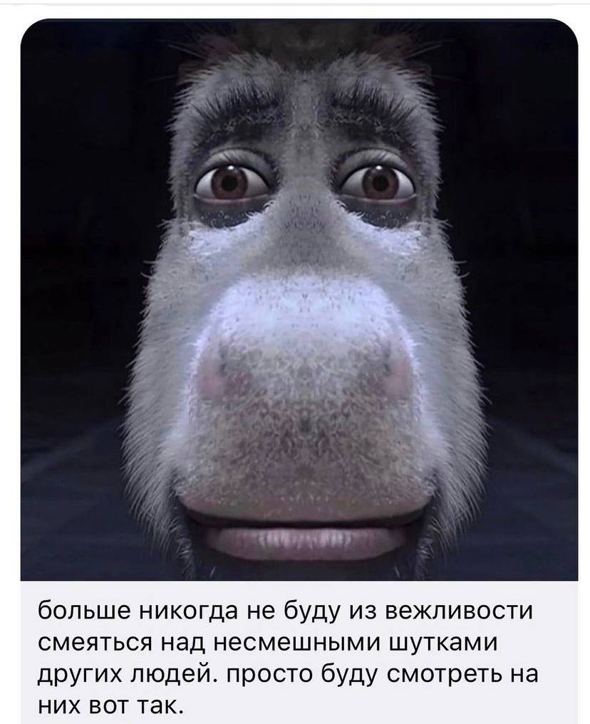 и больше никогда не буду из вежливости смеяться над несмешными шутками других людей. просто буду смотреть на них вот так.