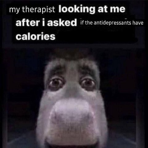 my therapist looking at me after i asked if the antidepressants have calories