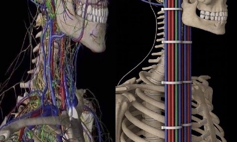 у a у и у 4