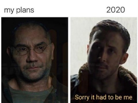 my plans 2020 Sorry it had to be me