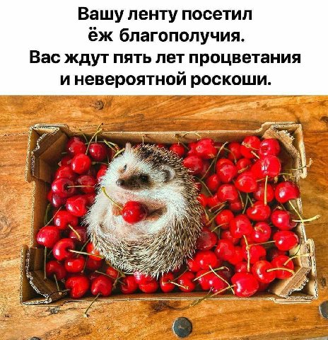 Вашу ленту посетил благополучия. Вас ждут пять лет процветания иневероятной роскоши.
