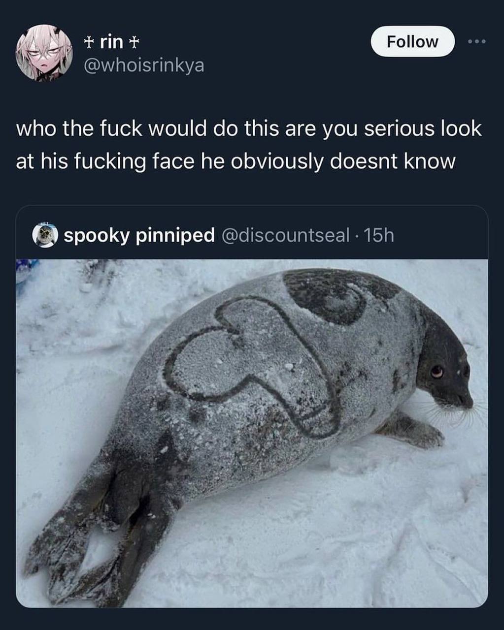 оном who the fuck would this are you serious look at his fucking face he obviously doesnt know spooky pinniped В:
