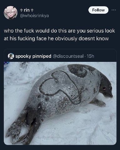 оном who the fuck would this are you serious look at his fucking face he obviously doesnt know spooky pinniped В: