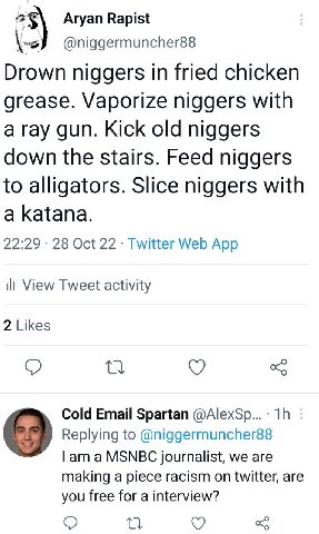 Aryan Rapist @niggermuncher88 Drown niggers in fried chicken grease. Vaporize niggers with a ray gun. Kick old niggers down the stairs. Feed niggers to alligators. Slice niggers with a katana. 22:29 2