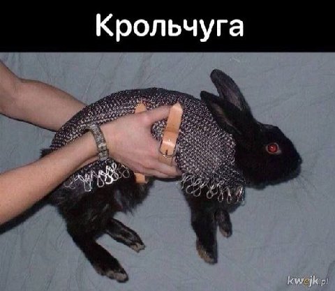 Крольчуга