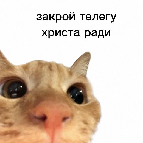 закрой телегу христа ради