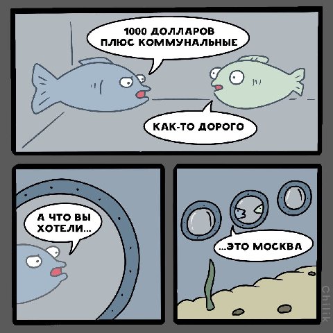 1000 ДОЛЛАРОВ ПЛЮС КОММУНАЛЬНЫЕ КАК-ТО ДОРОГО А ЧТО ВЫ ХОТЕЛИ... ..ЭТО МОСКВА