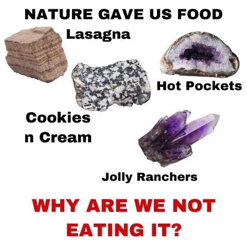 NATURE GAVE FOOD Lasagna Hot Pockets Cookies Cream Jolly Ranchers WHY ARE WE NOT EATING IT?