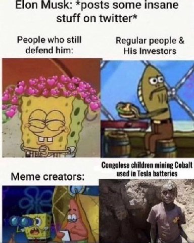 Musk: posts some insane stuff on twitter* People who still Regular people defend him: His Investors 4 Congolese children mining Cobalt used in Tesla batteries Meme creators: 2